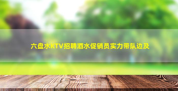 六盘水KTV招聘酒水促销员实力带队边及
